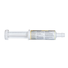 Load image into Gallery viewer, Daily Gold® Syringe - Digestive Stress Relief Horse Paste