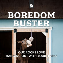 Load image into Gallery viewer, Redmond Rock® - Mined Horse Salt Lick