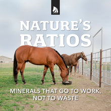 Load image into Gallery viewer, Redmond Rock® - Mined Horse Salt Lick