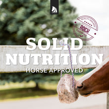Load image into Gallery viewer, Redmond Rock® - Mined Horse Salt Lick