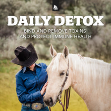 Load image into Gallery viewer, Daily Gold® - Horse Gut Supplements
