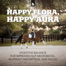 Load image into Gallery viewer, Daily Gold® - Horse Gut Supplements
