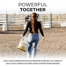 Load image into Gallery viewer, Daily Gold® Syringe - Digestive Stress Relief Horse Paste
