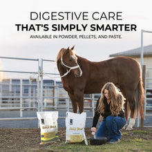 Load image into Gallery viewer, Daily Gold® Syringe - Digestive Stress Relief Horse Paste
