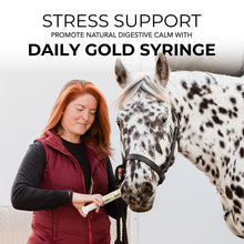 Load image into Gallery viewer, Daily Gold® Syringe - Digestive Stress Relief Horse Paste
