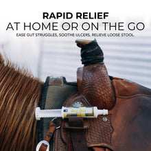 Load image into Gallery viewer, Daily Gold® Syringe - Digestive Stress Relief Horse Paste
