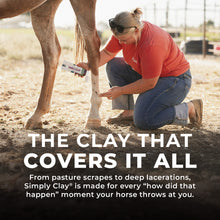 Load image into Gallery viewer, Simply Clay Salve – Bentonite Clay Horse Wound Care
