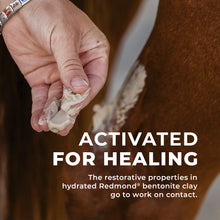 Load image into Gallery viewer, Simply Clay Salve – Bentonite Clay Horse Wound Care
