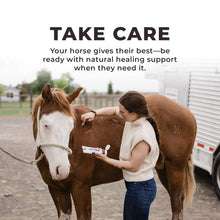 Load image into Gallery viewer, Simply Clay Salve – Bentonite Clay Horse Wound Care
