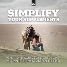 Load image into Gallery viewer, Daily Red® Fortified Garlic - Horse Vitamin &amp; Mineral Supplement
