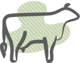 Agriculture shape icon