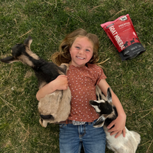 Load image into Gallery viewer, Goat Mineral
